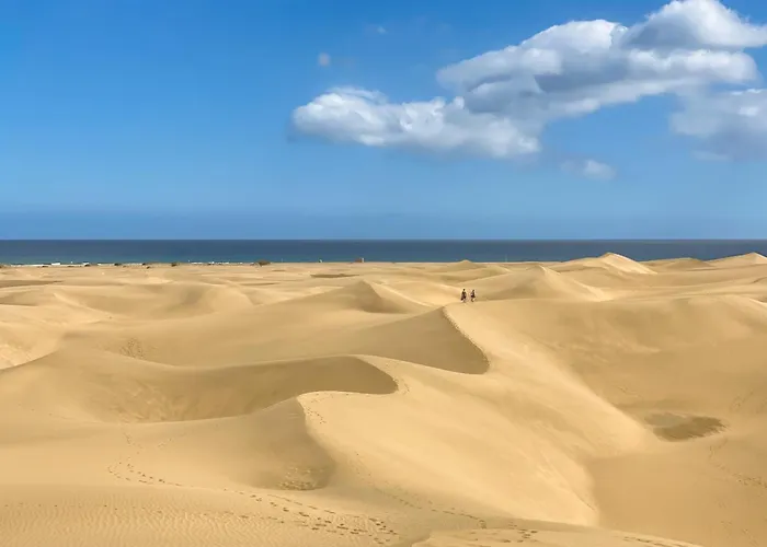 Brisa Urban Loft Centrico Amplio Y Luminoso アパート ラスパルマス・デ・グランカナリア